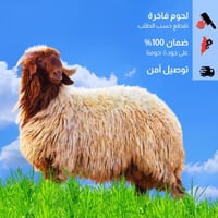 خروف نعيمي هرفي مذبوح 15-18كغ