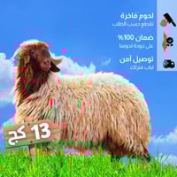 خروف نعيمي مذبوح 13 كغ