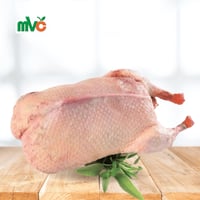 10 حبة بط بلدي طازج