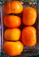 كاكا سوري سلة