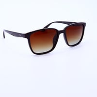 نظارة شمسية من Vines موديل B2243