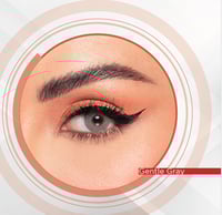 لون جينتل جراي من امارا زينة