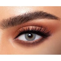 عدسات ذهب يومية فردتين راين