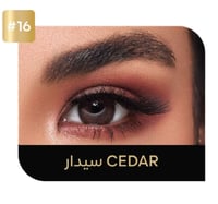 ايكو عدسات كورية ملونة يومية - سيدار