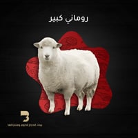 روماني كبير