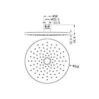 طاسة دش / شاور رأسي 25سم دائري اللون اسود مطفي نير...
