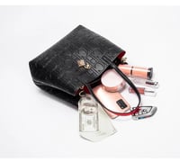 شنطة كارولينا هيريرا