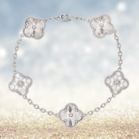 اسورة فان كليف VC