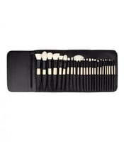 طقم مكون من 24 فرشاة مع حقيبة إلايت من كوستال سينت...