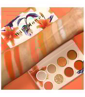 لوحة ظلال عيون وايلد فلاور من كارا بيوتي ES106 متع...