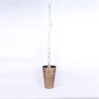 غصن شجر طبيعي مجفف - متعرج بدون أوراق - لون فضي