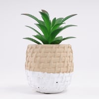 اصيص فخار بنقشة مع صبار صناعي - ابيض وبيج 3