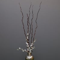 أغصان الصفصاف الطبيعية المجففة - سميكة ومتعرجة بدو...