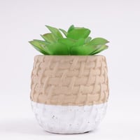 اصيص فخار بنقشة مع صبار صناعي - ابيض وبيج 1