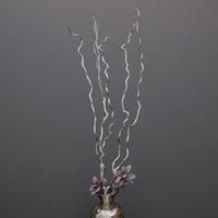 غصن شجر طبيعي مجفف - متعرج بدون أوراق - لون فضي