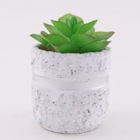 اصيص فخار ابيض و فضي - و نبتة صبار صناعية