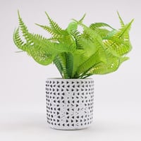 اصيص فخار ابيض منقط بالأسود و شتلة صناعية