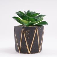 اصيص فخار اسود وخطوط هندسية ذهبية - و نبتة صبار صن...