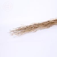 غصين طبيعي مجفف مع فروع لولبية طويلة - لون خشبي