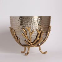 اصيص فضي بنقش منقط و حامل بفروع ذهبية - حوض