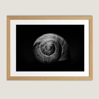 لوحة جدارية كانفاس مغلف بالزجاج حلزون