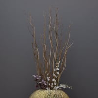 غصين طبيعي مجفف مع فروع لولبية طويلة - لون خشبي