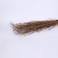 غصين طبيعي مجفف مع فروع لولبية طويلة - لون بني