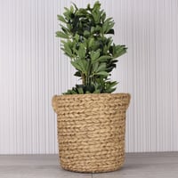 حوض اصيص فخار خارجي وداخلي بامبو - كبير