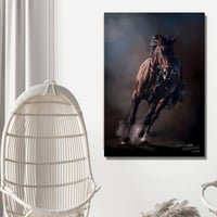 لوحة جدارية تشكيلية - الخيل - مطبوعة على لوح اكريل...