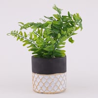 اصيص فخار اسود وابيض بزخرفة ذهبية و شتلة صناعية