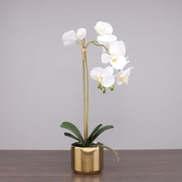 حوض و اصيص ازهار ذهبي مزين بورود الاوركيد البيضاء...