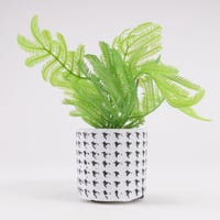 اصيص فخار ابيض منقط بالأسود - مع شتلة صناعية