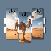 علاقات ملابس جدارية اكريلك - علاقات ديكور ولوحات ف...