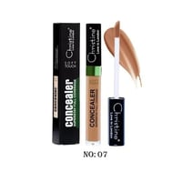 كرستين خافي عيوب كونسيلر - CH2024