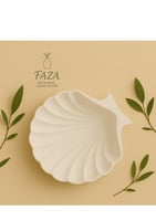 كوستر الصدفه