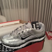 P-6000 Metallic Silver