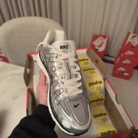 P-6000 Metallic Silver