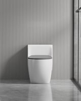 كرسي حمام أفرنجي ابيض رمادي 30سم دفع وشفط