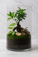 تيراريوم نباتات طبيعية – حجم كبير