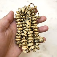 مسباح ثمرة عود الصليبه