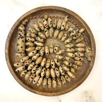 مسباح ثمرة عود الصليبه