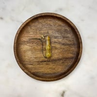 مسباح فاتوران خرتيتي