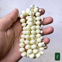 مسباح دومنه حليبي