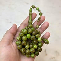 مسباح فاتوران فستقي