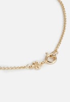 اساور توري بورش