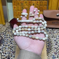 مسباح قرن غزال الايل