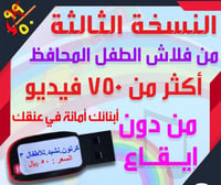 فلاش الطفل 3