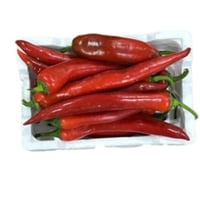 فلين فلفل احمر طويل وسط