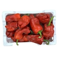 فلين حوطى احمر وسط