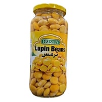 ترمس حب قوارير فرشلي 600ج